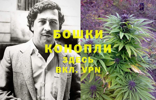 крисы Бугульма