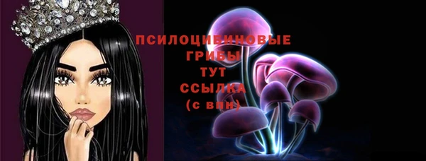 крисы Бугульма