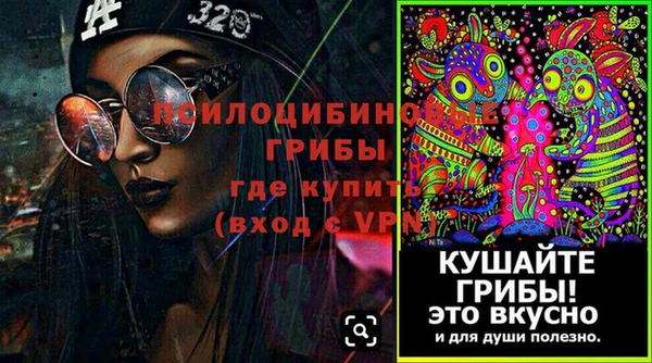 экстази Богданович