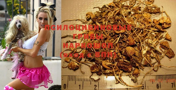 PSILOCYBIN Богородск