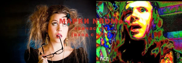 крисы Бугульма