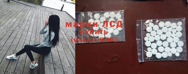 крисы Бугульма